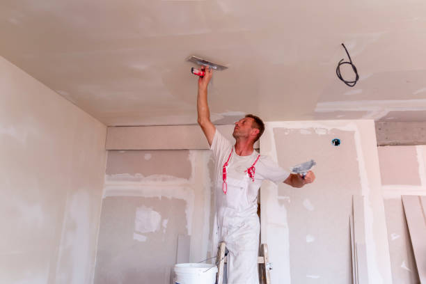 Trusted Piney Mountain, VA Dry wall and painting Experts